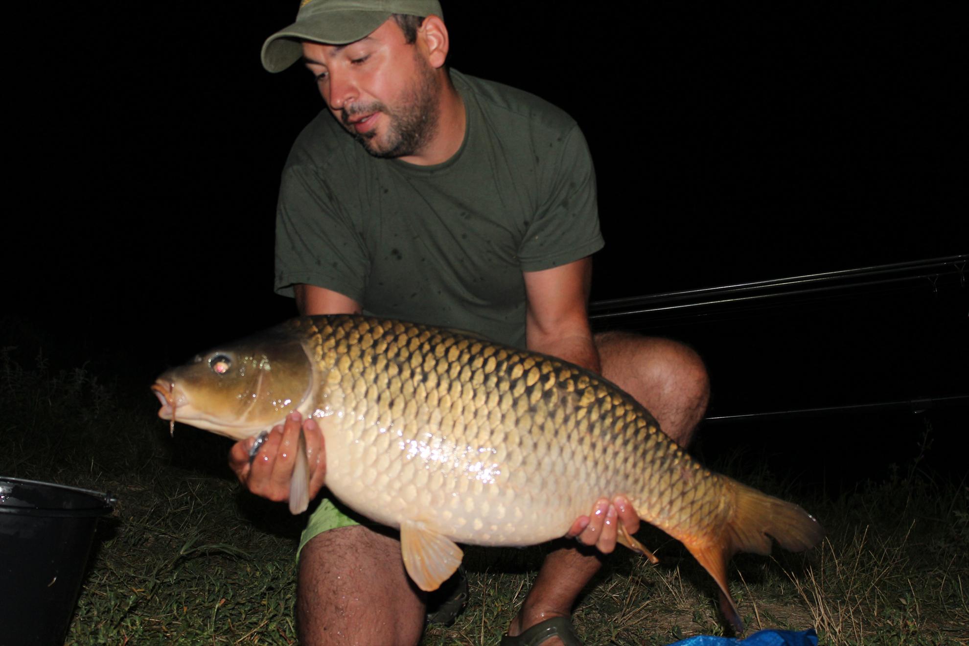 Capturi - img3830.JPG